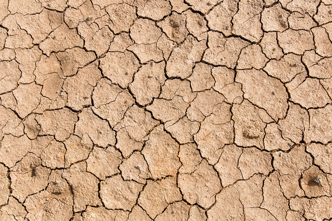 Trockene Erde mit Rissen Trockene Erde mit Rissen